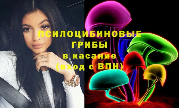 мяу мяу мука Няндома