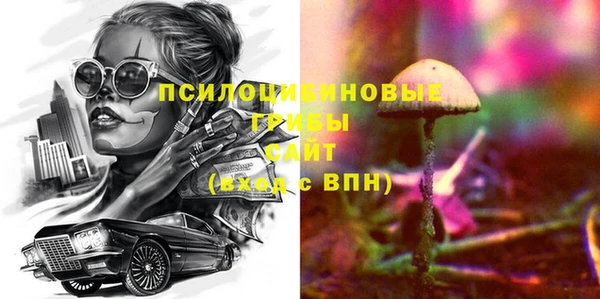мяу мяу мука Няндома
