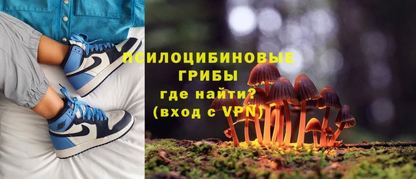 мяу мяу мука Няндома